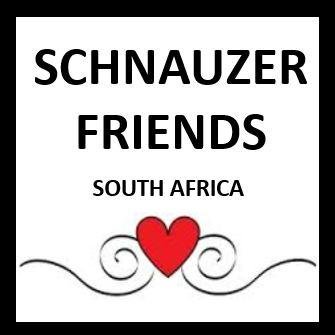 We love, celebrate, share and enjoy Miniature Schnauzers. We are the largest breed specific community in South Africa. Follow us on facebook. #schnauzerholics