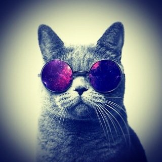 Ferrai1999's profile picture. 