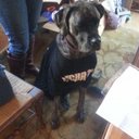 Dane Parks - @greatdane1234 - Twitter