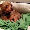 Mary Bart Houston - @irwinsmom - Twitter