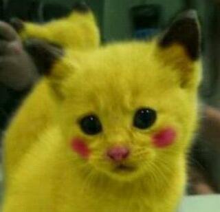 todo un poco...Faveadores♡
