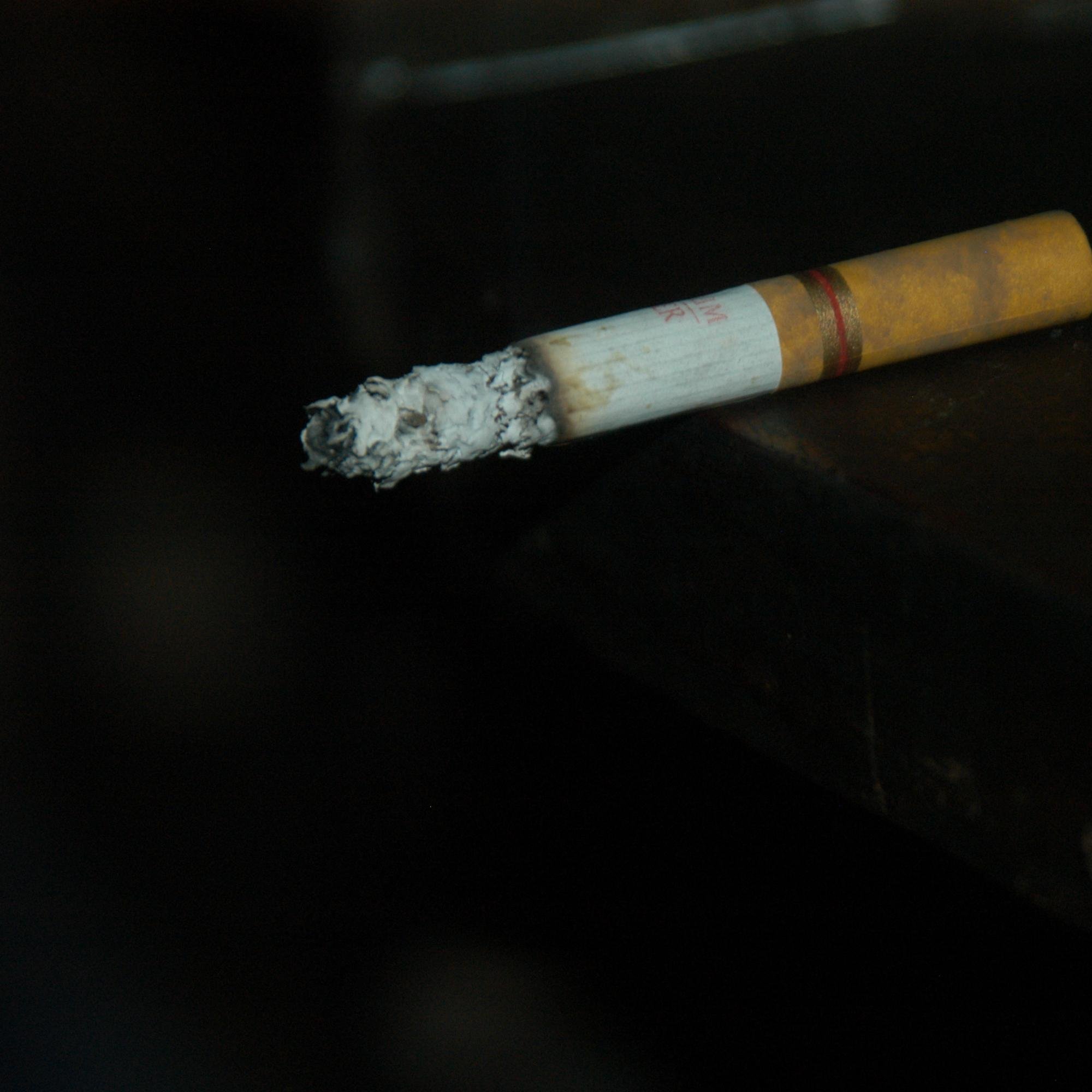 melchizedeklee7's profile picture. 