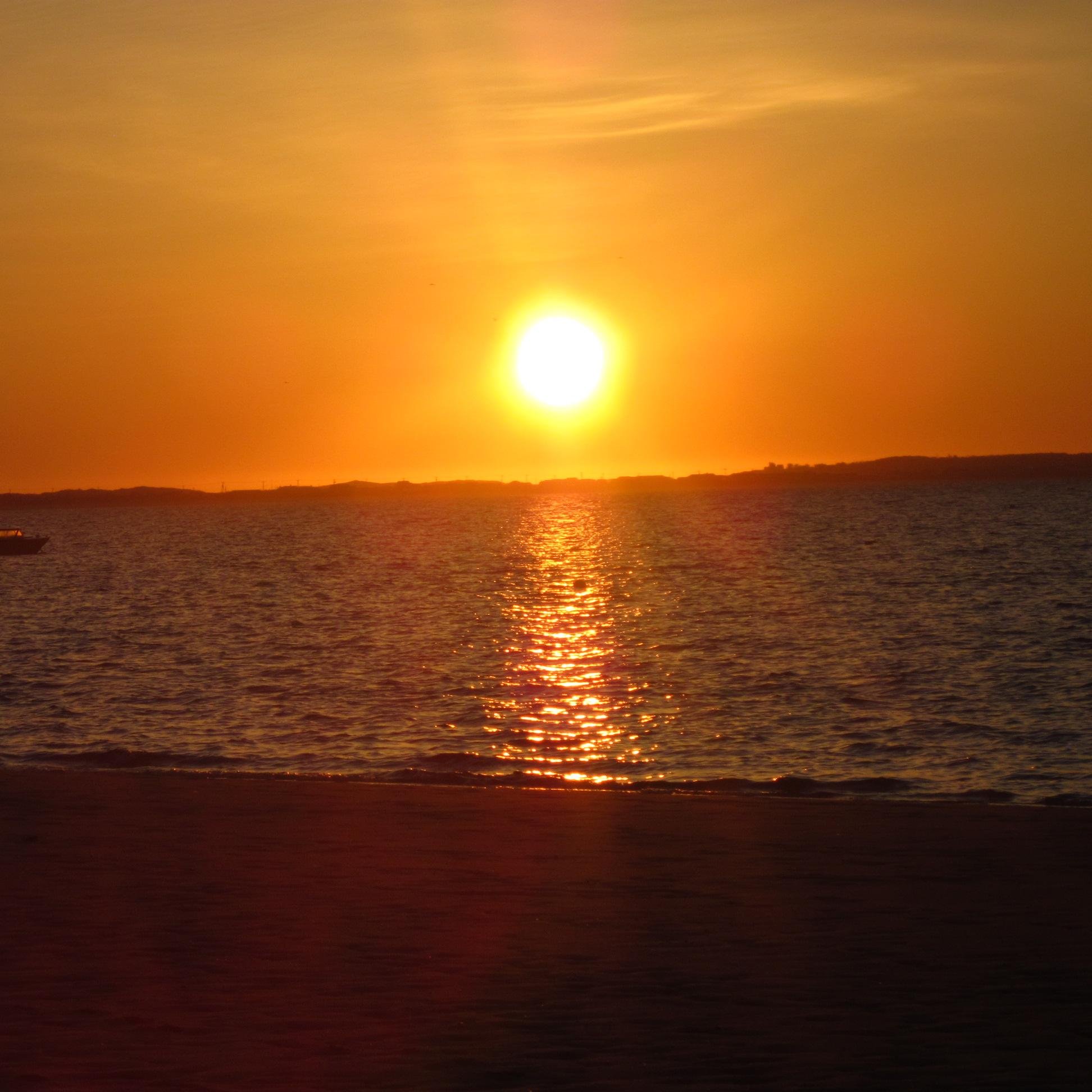 dreamersteve's profile picture. 