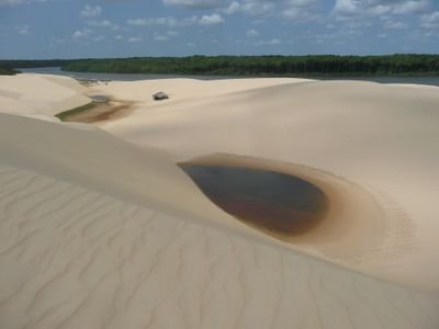 viajera, lectora....