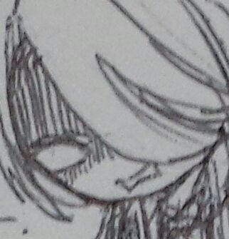 sino_csst's profile picture. 