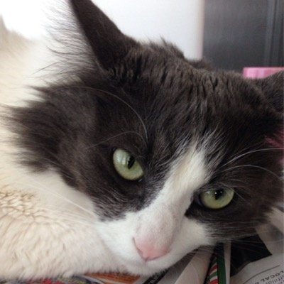 Inava52Irene's profile picture. 