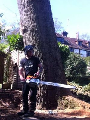 Tree Surgeon