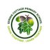 Spring Cottage Primary School (@springcottageps) Twitter profile photo Spring Cottage Primary School (@springcottageps) Twitter profile photo