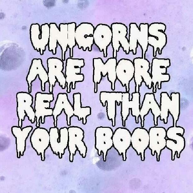 isabella_wbu's profile picture. Ricky and his beanies.