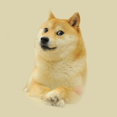 I am the doge bacon is bae