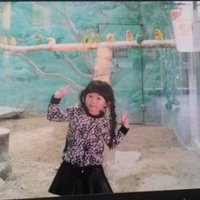 안은미 (@eunmi9049) 's Twitter Profile