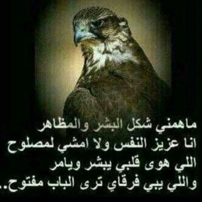 أحب البنات