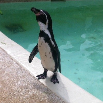 janenmn's profile picture. 