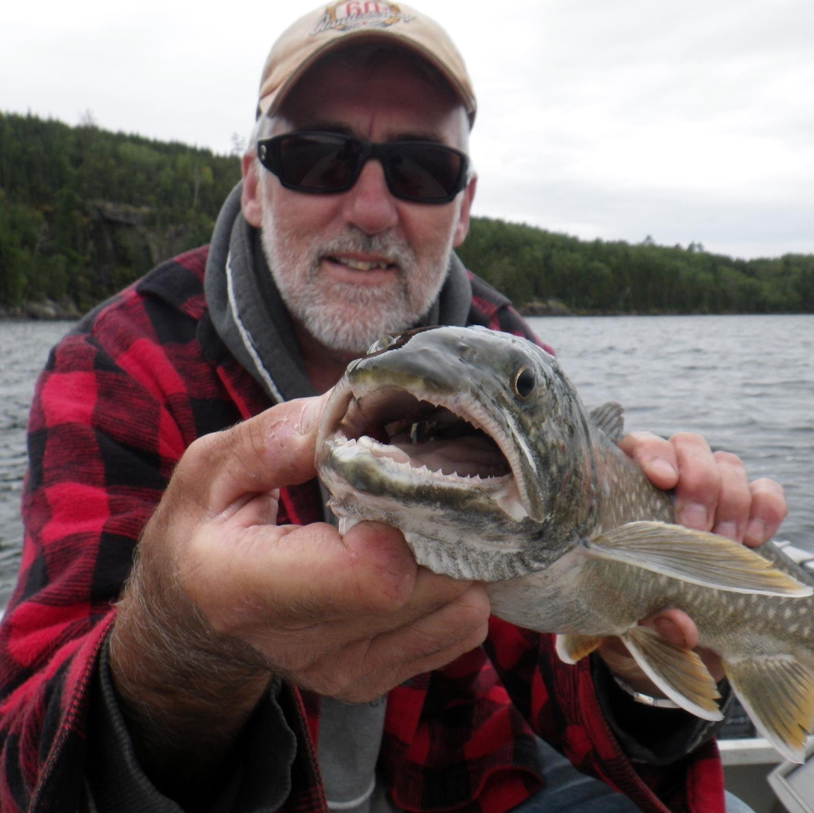 Fish...Relax...Unwind At Vermilion Bay Lodge on Beautiful Eagle Lake, Ontario. Fishing is what a Canadian fishing trip should be all about.