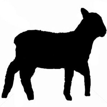 lostlittlelambs's profile picture. Searching for music that speaks to the soul and makes dat booty drop.