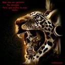 jaguar512 - @gus_macias - Twitter