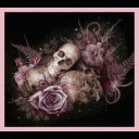 Kat Barrera - @KatBarrera1 - Twitter