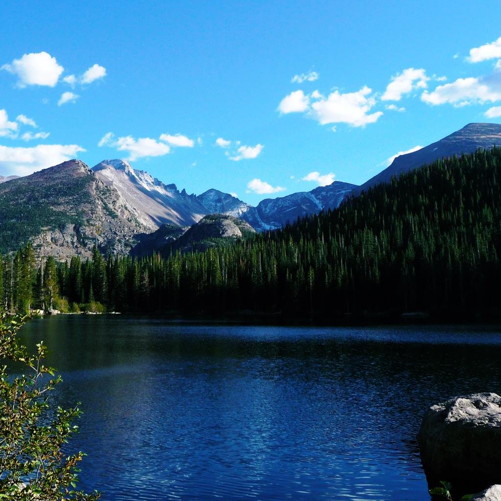 LMBarakat's profile picture. 