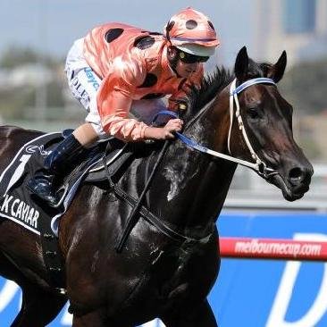 daraltili's profile picture. İstatiktik ve at yarışları sevdalısı.. Burada amacım öncelikli olarak programları gereksiz atlardan arındırmanıza yardımcı olmaktır..