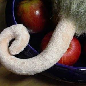 QuirkyPossum's profile picture. 