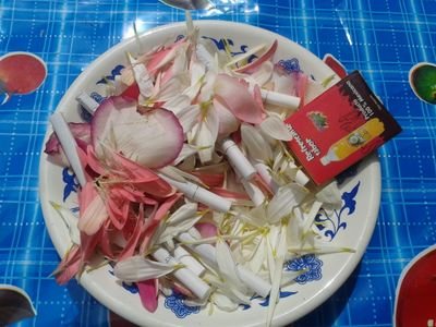 ANDA UNA DE OJAZOS VERDES Y TAMBIEN UNA MORENA, AJUSTANDOSE EN MI LISTA... ME GUSTA. LA QUIERO. ME LA LLEVO.