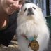 Melissa Ireland MS, RD, CSSD (@performwellrd) Twitter profile photo