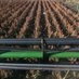 Schindler Farms (@schindler_farms) Twitter profile photo Schindler Farms (@schindler_farms) Twitter profile photo