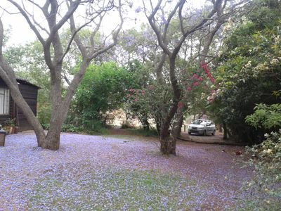 stickblender's profile picture. 