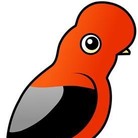 cock of the rock