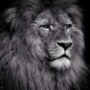 Vladimir Yakovlev - @Vovka_fan - Twitter