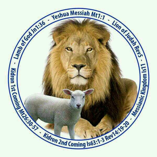 Living for YAHWEH, and I ain't turning back. John 3:16 recognised and appreciated. #HeartMatter!