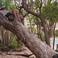 Renate Ward (@cloudtripping) 's Twitter Profile