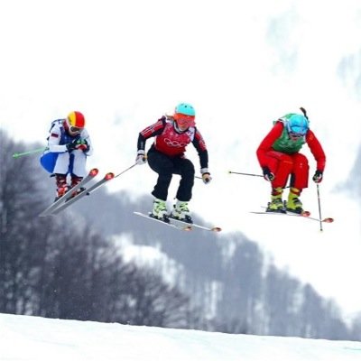 Skiing|Snowboarding|Biathlon|Bobsleigh|Curling|Figure Skating|Ice Hockey|Luge|Nordic Combined|Speed Skating|Skeleton|Ski Jumping|