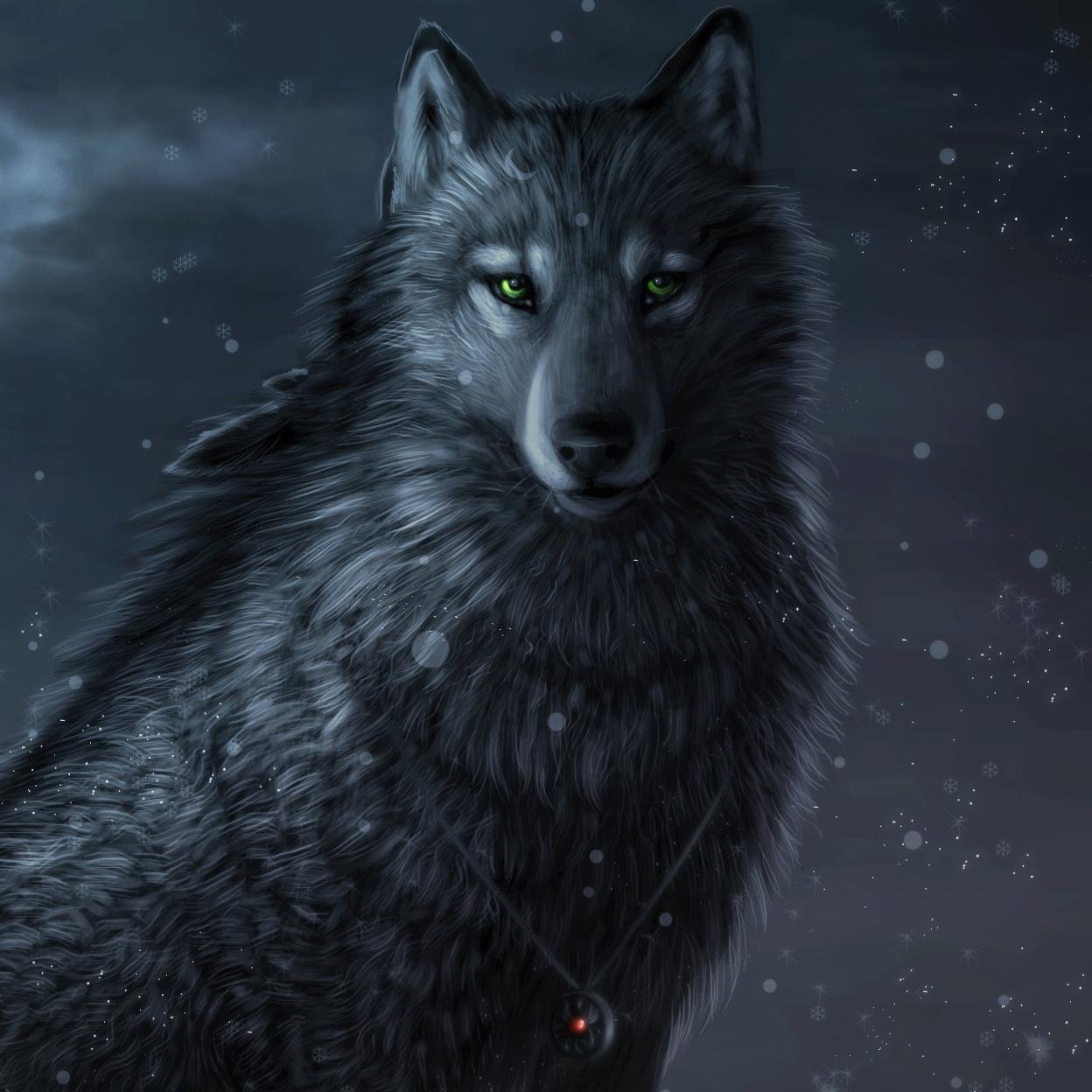 My Name is Fang /Male wolf Strong/ Pup Molly / mate None