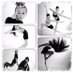 Kimberly Lewis (@dancestudio111) Twitter profile photo Kimberly Lewis (@dancestudio111) Twitter profile photo