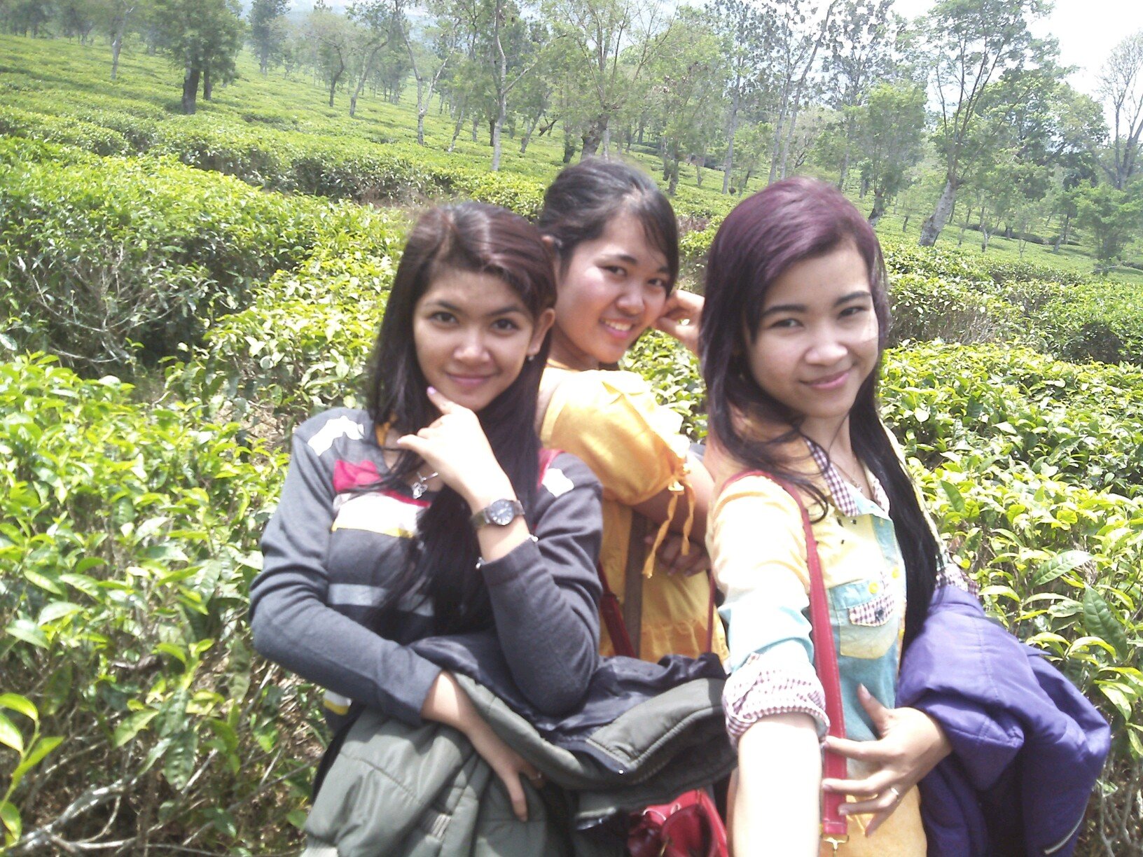 ♪♪never say never... everything is okay.. as long as we're trying hard™...♪♪
ƪ(˘⌣˘)┐ ƪ(˘⌣˘)ʃ ┌(˘⌣˘)ʃ