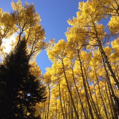 akschrager's profile picture. 