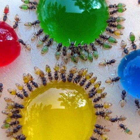 SOTHAMA's profile picture. 