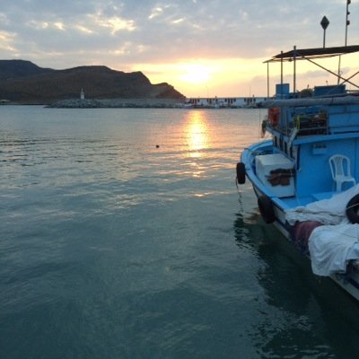 Antalya, İTÜ graduate, Piri Reis University, professor; finance, economics and maritime affairs.