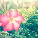 Krol - @KrolgcmCarol - Twitter