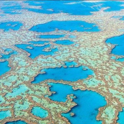 la6ueeee's profile picture. Life as @melbourne_loveforwildlife