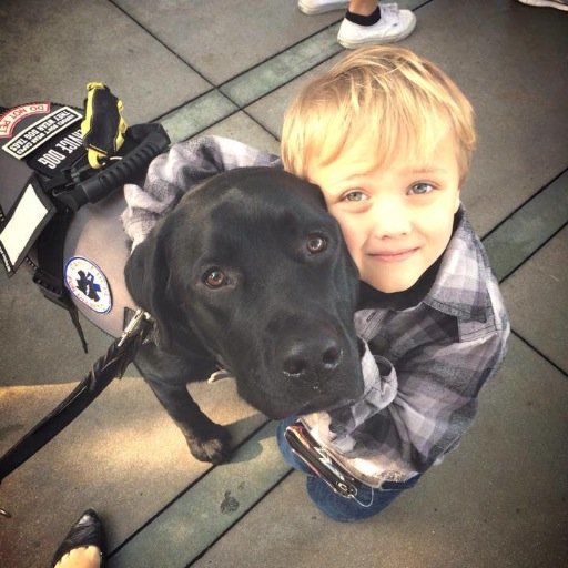 A documentary following the incredible story of a brave little boy and his service dog, fighting Type 1 Diabetes one day at a time.     #LukeAndJedi