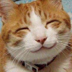 gonta90's profile picture. ポータブル環境を持ち出し音楽を聴くことが多い。聞くのは主にクラシック。でもポータブル環境でクラシックをメインで聴く人が少ないのでは？と最近思っているので少しでも仲間を増えればいいなぁと今聞いている音楽や機材についてつぶやくことが多いかも。他にオタ系のネタが混ざるので注意です。