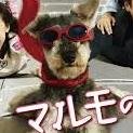 相互フォロー＆相互アイアイ/まるまるもりもり相互あいあい/パートナー相互フォロー/フォローRTリプDM大歓迎　