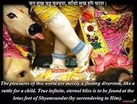 jay mataji