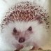 Birgith Rosseland (@birgithr) Twitter profile photo
