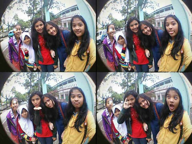 8f ({})