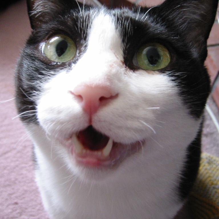 harry231502's profile picture. 