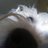 ricealmc's profile image