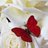 StelyoUno45's profile image